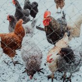 Zranění a úrazy: Jak je minimalizovat v zimních měsících