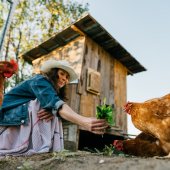 Příprava kurníku na jaro: Hygiena a údržba výběhů