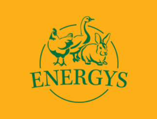 energys hobby logo