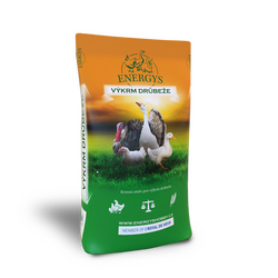 energys kachna_mini