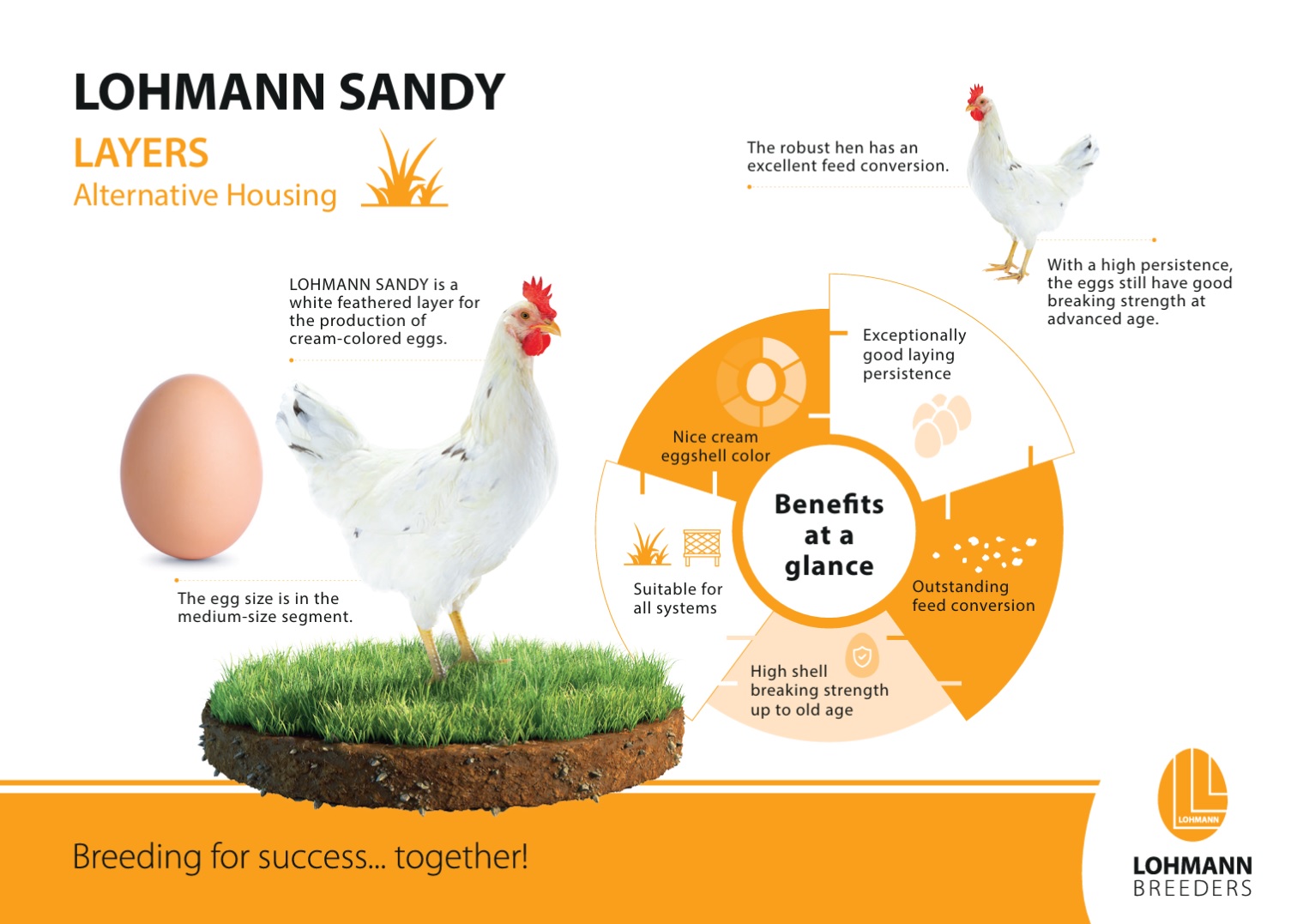 lohmann sandy prospekt en