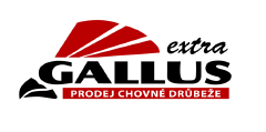 Primary Raster logo